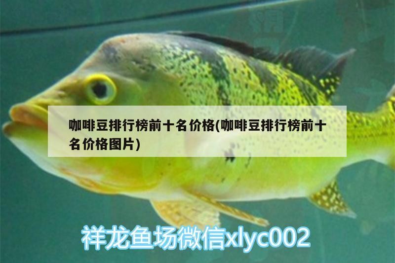魚缸過濾器選購指南:自制魚缸過濾器魚缸上置過濾器對于養魚愛好者的必備知識 咖啡豆排行榜前十名價格(咖啡豆排行榜前十名價格圖片) 馬來西亞咖啡 咖啡豆排行榜前十名價格(咖啡豆排行榜前十名價格圖片) 咖啡豆排行榜前十名價格(咖啡豆排行榜前十名價格圖片) 馬來西亞咖啡
