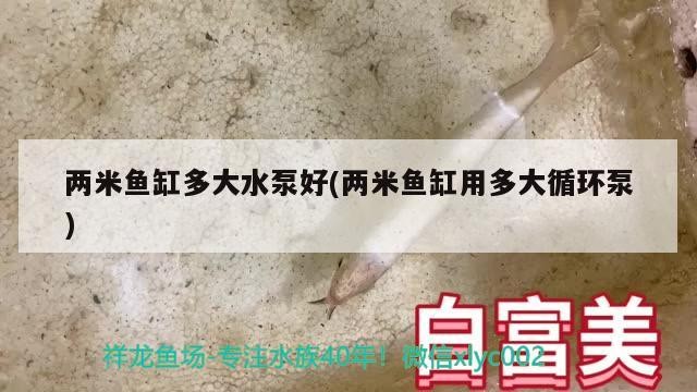 兩米魚缸多大水泵好(兩米魚缸用多大循環泵)