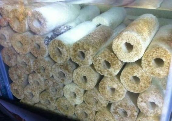 魟魚消化不良的急救措施：魟魚消化不良的急救措施[需手動填充][需手動填充]魚消化不良的急救措施