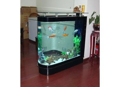 八十公分的魚缸能養幾條魚：80公分的魚缸適合養多少條魚