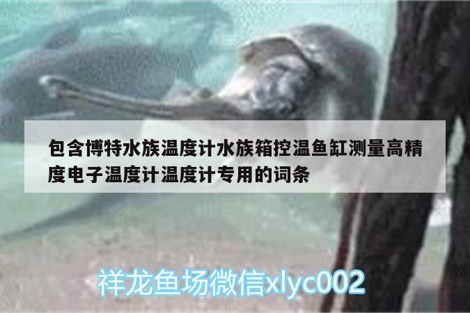 包含博特水族溫度計水族箱控溫魚缸測量高精度電子溫度計溫度計專用的詞條 包含博特水族溫度計水族箱控溫魚缸測量高精度電子溫度計溫度計專用的詞條 博特水族