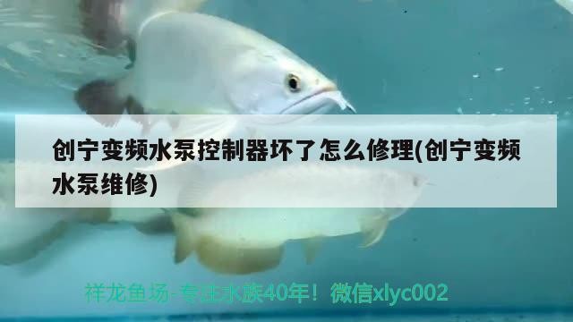 創寧變頻水泵控制器壞了怎么修理(創寧變頻水泵維修)
