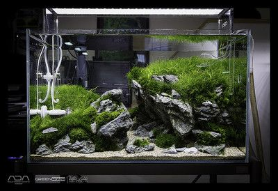 1.2米的魚缸圖片造景：1.2米的魚缸造景