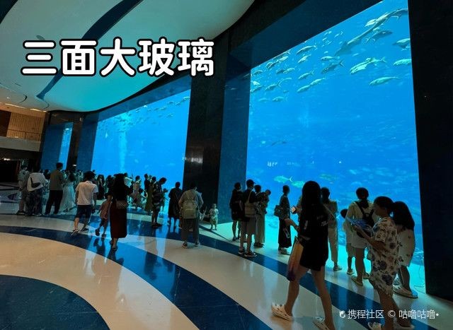 三亞水族館vs祥龍魚場（三亞水族館和祥龍魚場哪個好）
