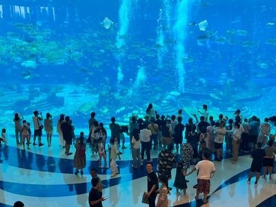 三亞水族館vs祥龍魚場（三亞水族館和祥龍魚場哪個好）