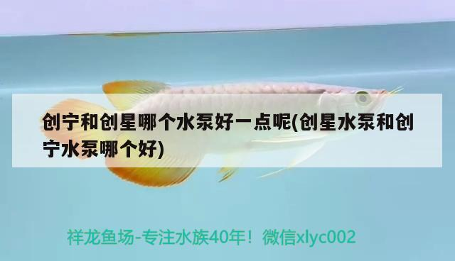 創寧和創星哪個水泵好一點呢(創星水泵和創寧水泵哪個好) 創寧和創星哪個水泵好一點呢(創星水泵和創寧水泵哪個好) 創寧水族