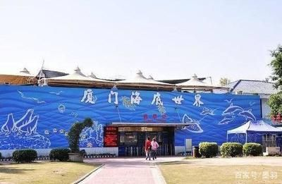 廈門水族館vs祥龍魚場（廈門水族館與祥龍魚場有什么區別？）