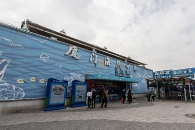 廈門水族館vs祥龍魚場（廈門水族館與祥龍魚場有什么區別？）