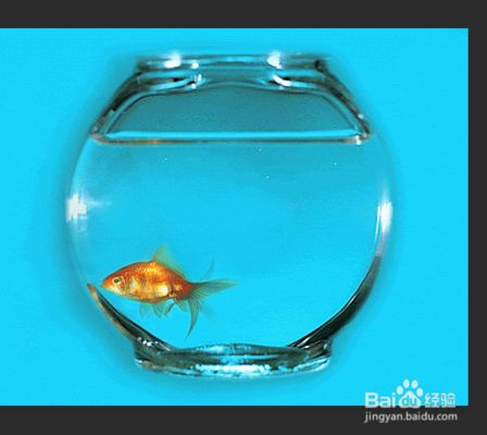 大魚缸怎么樣才能移動過來：移動大魚缸搬運中的常見誤區在搬運中的常見誤區和技巧