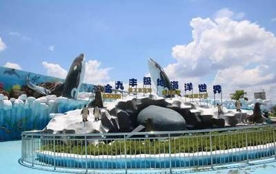 龍巖水族館vs祥龍魚場（龍巖水族館一三五七養(yǎng)魚新手也能養(yǎng)好魚祥龍魚場）