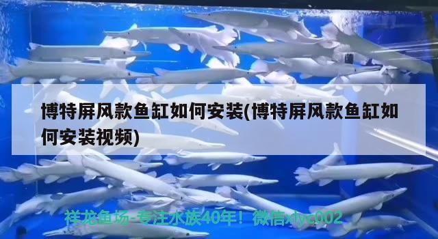 博特屏風款魚缸如何安裝(博特屏風款魚缸如何安裝視頻)