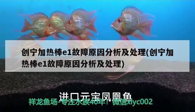 創寧加熱棒e1故障原因分析及處理(創寧加熱棒e1故障原因分析及處理)