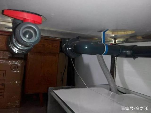 魚缸過濾器選購指南:自制魚缸過濾器魚缸上置過濾器對于養魚愛好者的必備知識 入戶對門放魚缸好嗎 魚缸百科 入戶對門放魚缸好嗎 入戶對門放魚缸好嗎 魚缸百科