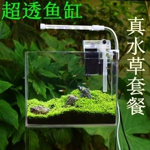 斗魚缸裝飾千萬別放陶飾物：i斗魚缸裝飾物在選擇裝飾物時應避免使用陶飾物的作用 斗魚缸裝飾千萬別放陶飾物：i斗魚缸裝飾物在選擇裝飾物時應避免使用陶飾物的作用 魚缸百科 第3張
