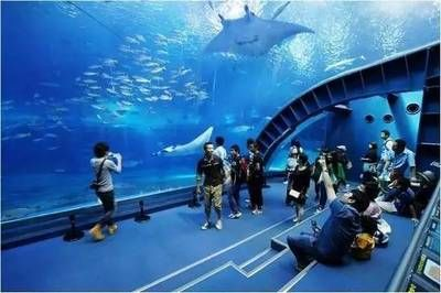 鄭州水族館vs祥龍魚場（探討鄭州水族館與祥龍魚場之間的差異之前需要明確兩者的主要業務和特色）