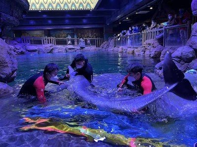 鄭州水族館vs祥龍魚場（探討鄭州水族館與祥龍魚場之間的差異之前需要明確兩者的主要業務和特色）