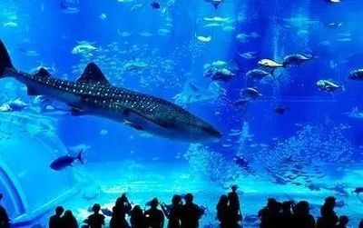 鄭州水族館vs祥龍魚場（探討鄭州水族館與祥龍魚場之間的差異之前需要明確兩者的主要業務和特色）