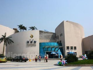 鄭州水族館vs祥龍魚場（探討鄭州水族館與祥龍魚場之間的差異之前需要明確兩者的主要業務和特色）