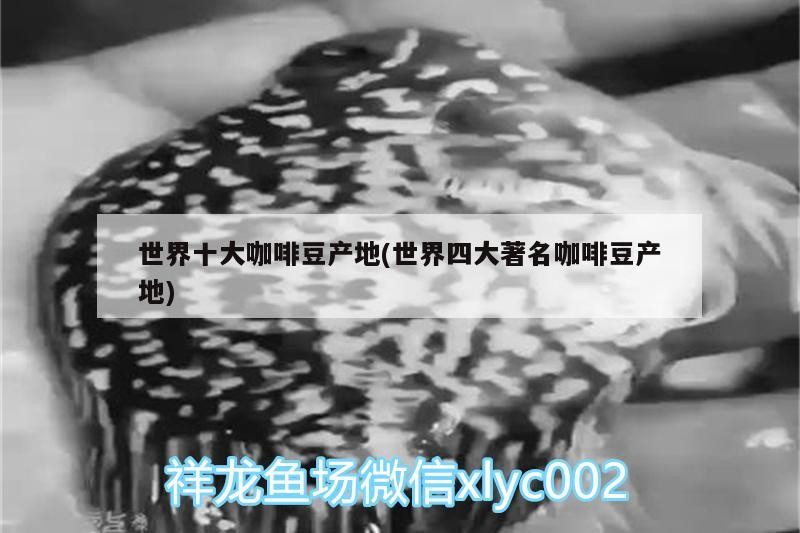 世界十大咖啡豆產(chǎn)地(世界四大著名咖啡豆產(chǎn)地) 世界十大咖啡豆產(chǎn)地(世界四大著名咖啡豆產(chǎn)地) 馬來西亞咖啡