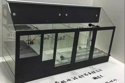 超白玻璃可以做魚缸嗎:超白玻璃與普通玻璃的區別 魚缸百科 第1張 超白玻璃可以做魚缸嗎:超白玻璃與普通玻璃的區別 超白玻璃可以做魚缸嗎:超白玻璃與普通玻璃的區別 魚缸百科 第1張