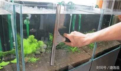 布景的魚缸怎么清理干凈：布景的魚缸清理干凈的具體方法和注意事項和注意事項 布景的魚缸怎么清理干凈：布景的魚缸清理干凈的具體方法和注意事項和注意事項 魚缸百科 第1張