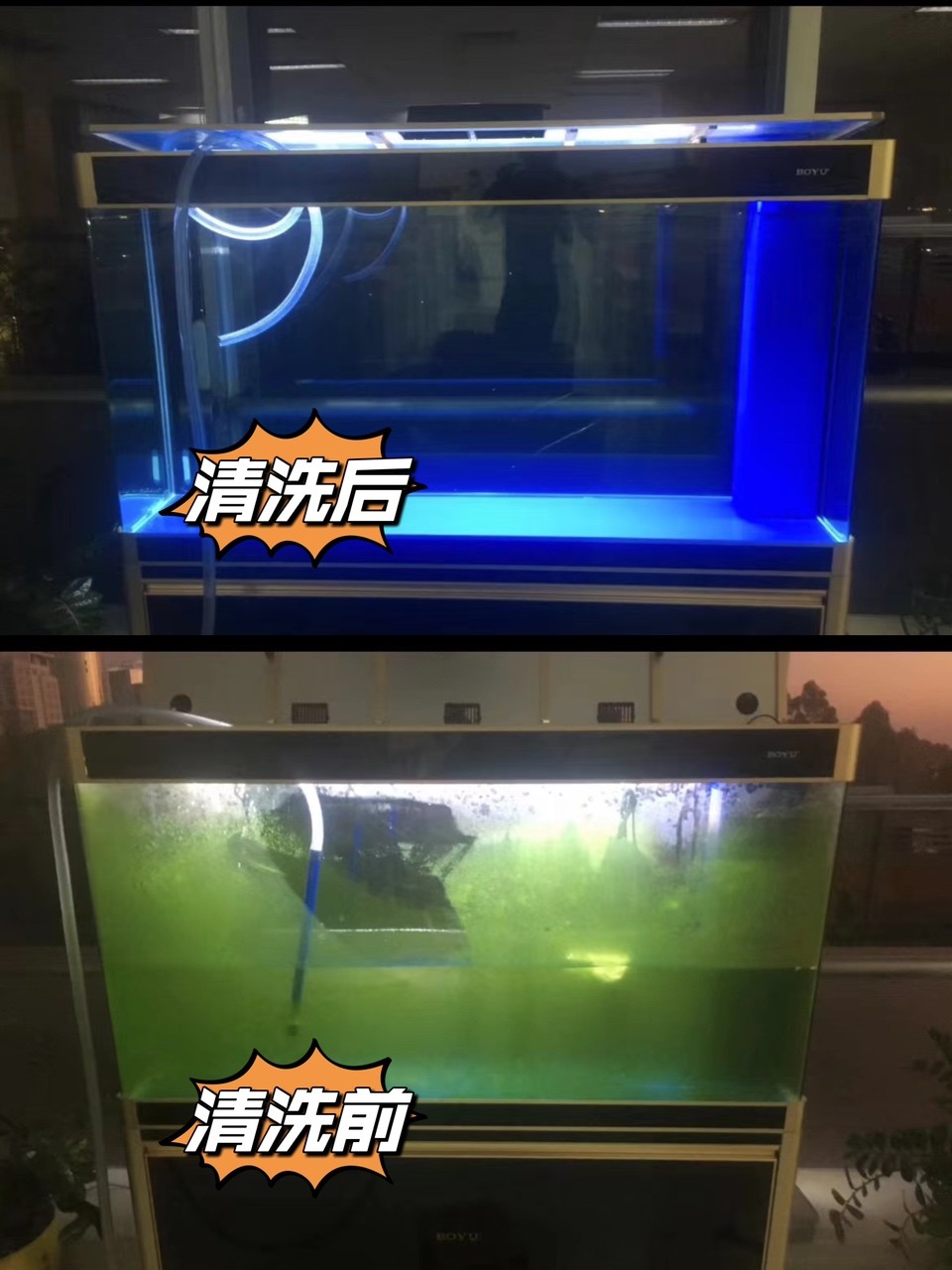 廣州魚缸清洗護理，魚缸安裝，搬運 廣州魚缸清洗護理，魚缸安裝，搬運 龍魚論壇 第3張