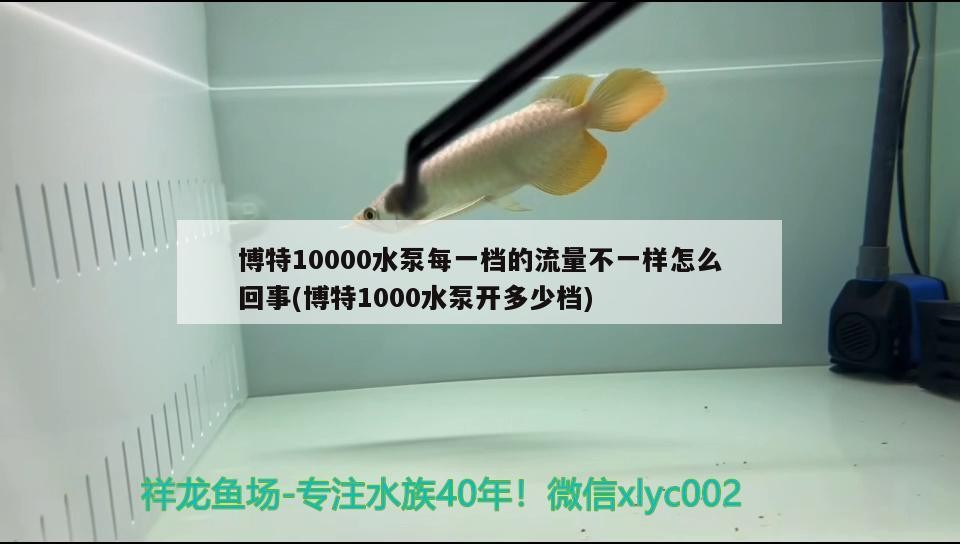 博特10000水泵每一檔的流量不一樣怎么回事(博特1000水泵開多少檔)