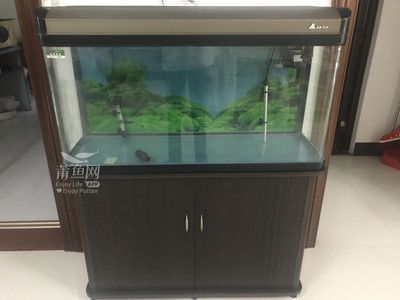 森森魚缸1200內部