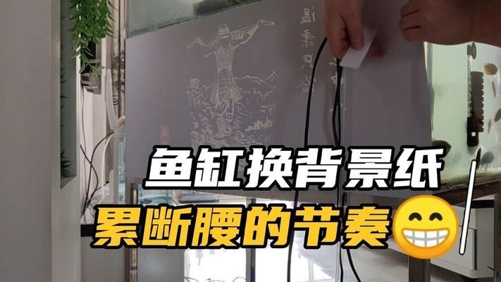 超白魚缸價格為什么不一樣（超白魚缸價格為什么不一樣呢）