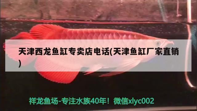 魚缸用增氧泵價格是多少:魚缸增氧機-xtrac增氧機-xtrac增氧機 天津西龍魚缸專賣店電話(天津魚缸廠家直銷) iwish愛唯希品牌魚缸 天津西龍魚缸專賣店電話(天津魚缸廠家直銷) 天津西龍魚缸專賣店電話(天津魚缸廠家直銷) iwish愛唯希品牌魚缸