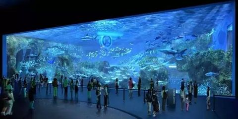 德陽水族館vs祥龍魚場（德陽水族館和祥龍魚場有什么區(qū)別？）