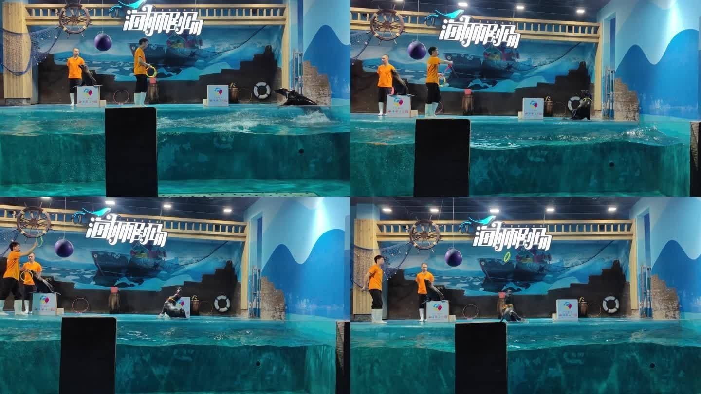 德陽水族館vs祥龍魚場（德陽水族館和祥龍魚場有什么區(qū)別？）