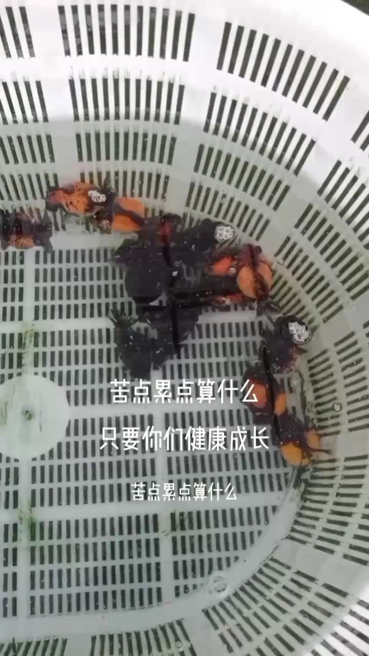 見證成長