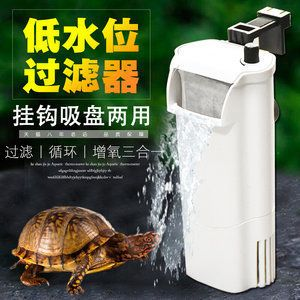龍魚生寄生蟲怎么辦啊吃什么藥vs祥龍魚場：龍魚寄生蟲治療方法