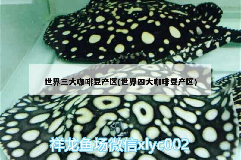 世界三大咖啡豆產區(世界四大咖啡豆產區)