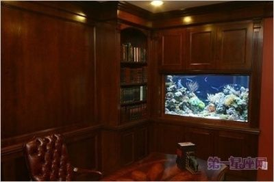 辦公室魚缸放在什么位置最好：辦公室魚缸最佳擺放位置 辦公室魚缸放在什么位置最好：辦公室魚缸最佳擺放位置 魚缸百科 第4張