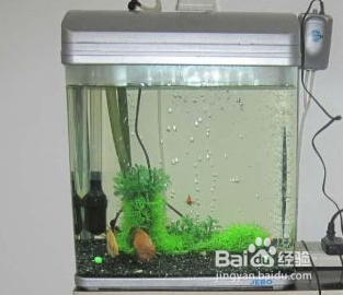 創寧水泵生產廠家電話是多少（創寧水泵生產廠家電話是多少號）