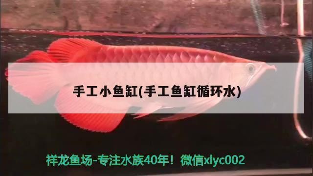 手工小魚缸(手工魚缸循環(huán)水) 手工小魚缸(手工魚缸循環(huán)水) iwish愛唯希品牌魚缸