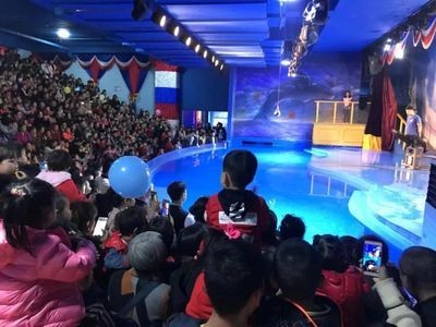 延安水族館vs祥龍魚場（延安水族館與祥龍魚場的區別）