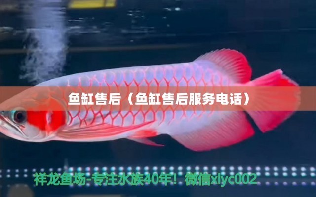 創寧變頻水泵靜音嗎（創寧變頻水泵靜音嗎能用嗎）