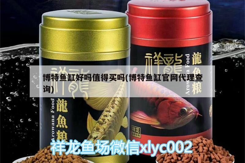 博特魚缸好嗎值得買嗎(博特魚缸官網代理查詢) 博特魚缸好嗎值得買嗎(博特魚缸官網代理查詢) 博特水族