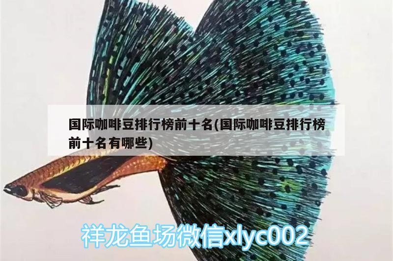 國(guó)際咖啡豆排行榜前十名(國(guó)際咖啡豆排行榜前十名有哪些)