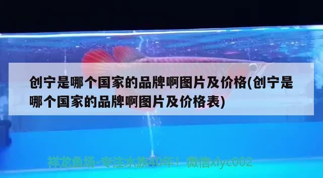 創(chuàng)寧是哪個(gè)國(guó)家的品牌啊圖片及價(jià)格(創(chuàng)寧是哪個(gè)國(guó)家的品牌啊圖片及價(jià)格表)