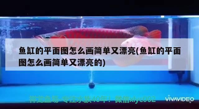 咖啡豆的四大產區(咖啡豆四大產區年產量排序)