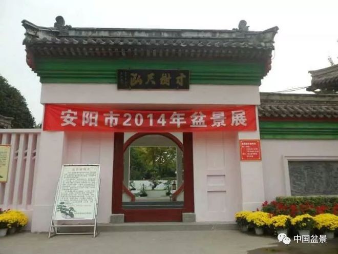 安陽龍魚vs祥龍魚場(chǎng)（安陽龍魚批發(fā)市場(chǎng)）