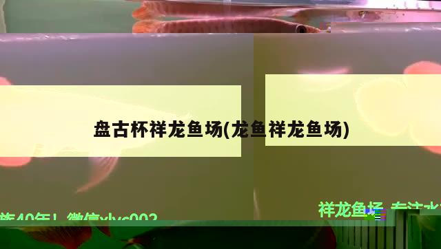 盤古杯祥龍魚場(chǎng)(龍魚祥龍魚場(chǎng))