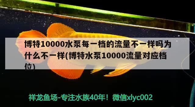 博特10000水泵每一檔的流量不一樣嗎為什么不一樣(博特水泵10000流量對應檔位)