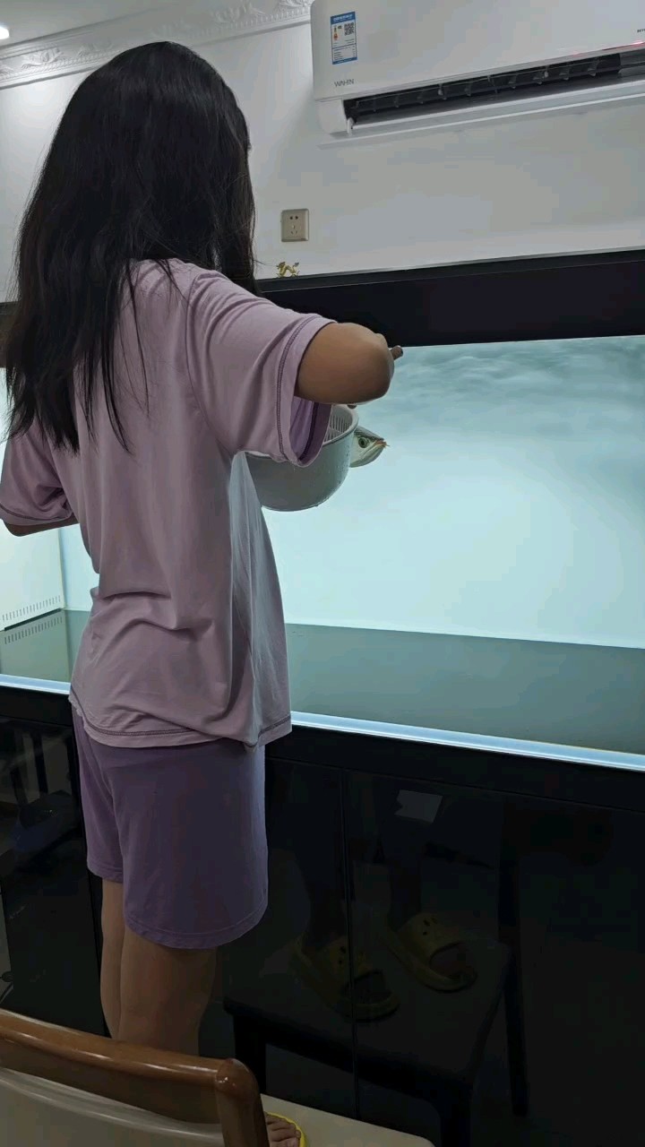 鸚鵡魚和銀龍魚混養怎樣喂食 閨女說以后喂魚的工作就交給她了 龍魚論壇 閨女說以后喂魚的工作就交給她了 閨女說以后喂魚的工作就交給她了 龍魚論壇