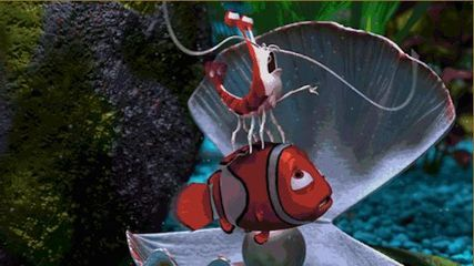 動畫片魚缸里的魚逃跑的：《魚缸里的魚逃跑》是否值得一看？