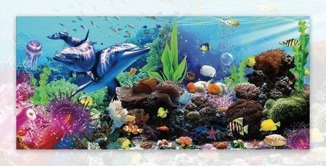 龍魚魚缸背景什么顏色好vs祥龍魚場：龍魚魚缸背景顏色的選擇